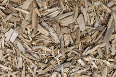 biomass boilers Palterton